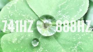 90分 Ver.／脳内に爽やかな風が吹く音／888Hz ＆ 741Hz チューナー和音／叩く順番統一バージョン／マドモアゼル愛先生のチューナー／Tuning fork／frequency