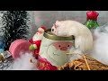 ハムスタークリスマス hamster xmas