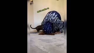 Namaz Bozan Kedi😺😺