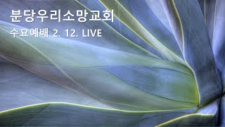 희생으로 만들어진 은혜 (히 9장 23~28절) | 강영석 부목사 | 분당우리소망교회 수요예배live | 2025. 2.12.