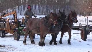 Draft Horse Logging - Managing Woods in Wisconsin (Legacy Logging)