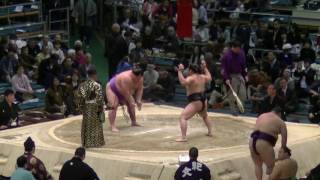 里山-富士東/2017.3.24(22)/satoyama-fujiazuma/day13 #sumo