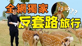 離譜旅行：只因为名字去了蚌埠住，沒想到還挺好玩｜爆笑旅行Vlog｜我真蚌埠住了｜LKs