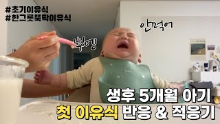 [육아Vlog] 5개월아기 첫 이유식 한달 적응기 | 한끼뚝딱이유식 | 이유식 거부 | 보너스영상