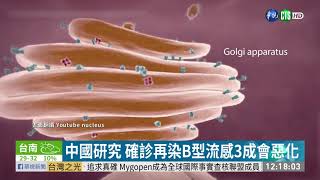 流感.新冠秋冬恐夾攻 專家籲快打疫苗| 華視新聞 20200924