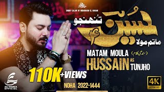 Mola Hussain tuhinjo (Sindhi) | Ali Hamza Sindhi Noha 2022 | New Nohay 2022 | Muharram 2022/1444