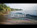 Vexento - Tevo (SaltyBiscuit remix)