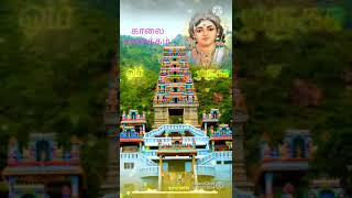 Lord Muruga song status|Marudhamalaikku neenga vanthu song WhatsApp status|Divinity Creations Tamil🙏