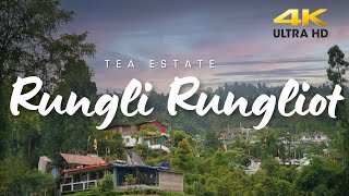 Rangli Rangliot Tea Garden | Tea estate near Darjeeling | Offbeat destination |  Takdah Tinchuley