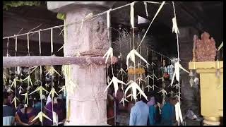 kailayavathiyam aruppukottai chokkalingaswamy temple car festival #2023