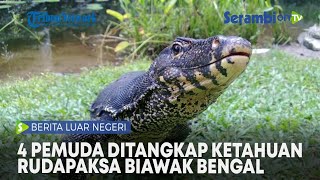 Empat Pemuda Ditangkap Ketahuan Rudapaksa Biawak Bengal di Hutan Lindung