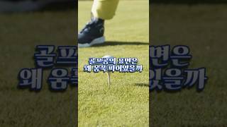 골프공의 표면은 왜 움푹파여 있을까?⛳️🏌️‍♂️ #상식 #초등상식 #골프공 #딤플 #골프 #golf #골프팁