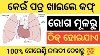 Odia Gk Question And Answers | Odia Intresting Gk | General Knowledge Odia | Gk In Odia