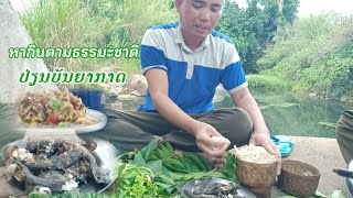 ພາພີ່ພານ້ອງມາເລາະຫາກິນເຂົ້າປ່າ/พาพี่พาน้องมากินเข้าป่า