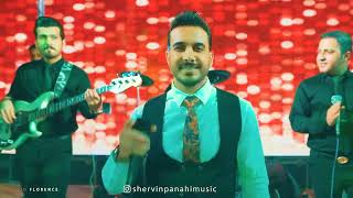 Shervin Panahi | شروين پناهي (بيس موزيك) . #folkmusic #lori  #bandari #music #لری #شاد #irani