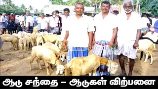 மேச்சேரி ஆடு சந்தை, சேலம் கிராமத்து ஆடு சந்தை,  கால்நடைகள் வாங்க கால்நடை சந்தை ஆடு, மாடு, கோழி