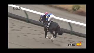 和布刈特別　ダ1700m (右) 　ゴッドブルービー　牡4　57.0　角田大和　2024.1.20　　出走馬：タイセイウォリアー、アイファーテイオーミヤジシャルマン、タロントゥーズ、メイショウシナノ他