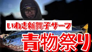 【いわき新舞子】晩秋のサーフ青物！！カタクチイワシ接岸！