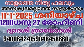 നാളത്തെ നിത്യ ഫലവും അനുകൂലമല്ലാത്ത നാളുകാരും 11*1*2025 ശനിയാഴ്ച 1200 ധനു 27രോഹിണി ദ്വാദശി ത്രായോദശി