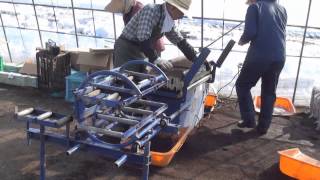 Sowing of sugar beet ﾋﾞｰﾄ播種