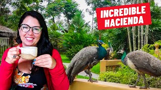 This Ecuadorian Hacienda Is Pricey, But Is It Worth It? | Guayaquil ECUADOR