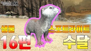 [비기너스 아크] ARK : SURVIVAL EVOLVED 생물 스포트라이트 - 16편 수달