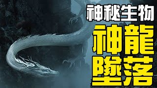 【UMA丨神龍墜落】1934年遼寧營口從天而降的巨大尸骸到底是什麼生物的？古代的神龍到底存不存在？營口墜龍事件始末分析丨神秘動物學UMA羊駝解說丨黑毛羊駝