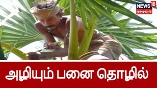 பயிர்த்தொழில் பழகு: அழிந்து வரும் பனை தொழில் | Payirtholil pazhgu : Career related to palm trees