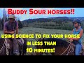 Helping a buddy sour horse get over his buddies in less than 10 minutes!