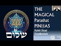 the magical pinhas. free love can kill zohar pinhas 2024 5784 shaul youdkevitch