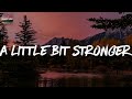 A Little Bit Stronger - Sara Evans (Lyric Video)