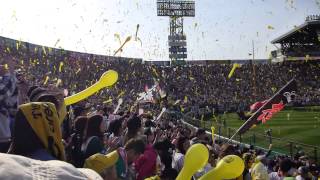 甲子園・阪神7回裏ラッキーセブンの風船上げ