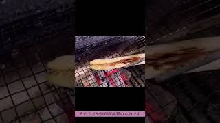 【初夏の味】ホワイトアスパラガスのご紹介