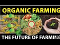 ORGANIC FARMING.Man Transforms a Whole town's Waste to a Mega Farm with  Food Forest & camping  Site