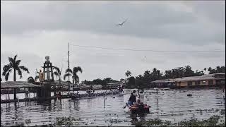 നിരണം ചുണ്ടൻ പുന്നമടയിൽ 💥❤️ #vallamkali #keralaboatrace #viralvideo