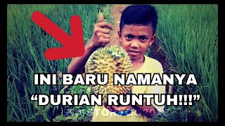 Serunya Berburu Durian Jatuh Langsung Dari Pohonnya! Wuuuiiiiih... Indonesian Durian Hunters