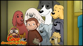 Coco der Neugierige | Cocos Hundefreunde | Cartoons für Kinder