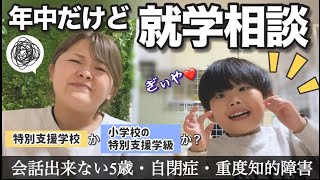 【進路】重度知的障害児は特別支援学校か？小学校の支援学級か？　まだ年中だけど就学相談に行ってきました🏫　【自閉症＋重度知的障害　うちのはるなり　5歳】