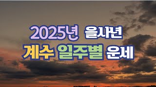 2025년🐍계수일주별 운세🌻  기회를 포착하라  [소혜사주]