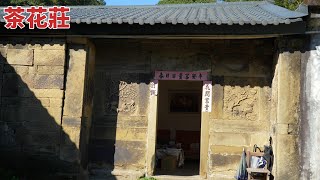 茶花莊、三集、品種茶花變異深度教學、茶花專業達人、莊豪雄、茶花教育農園、瑞芳地區農會