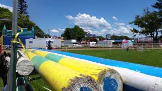 Judgment 125 Championship Murwillumbah Show 2015