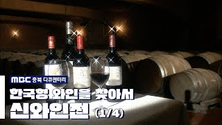 [MBC충북 다큐멘터리] 신와인전: 한국형 와인을 찾아서(1/4)