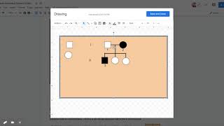 Pedigrees Part 2 - Google Docs