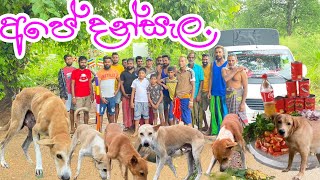 අහිංසක සතුන් වෙනුවෙන් දානයක් Charity for innocent animals