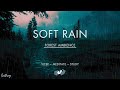 Soft Rain Over A Creek | No Ads | Soothing Rain Sounds For Sleeping | RDR2 ASMR