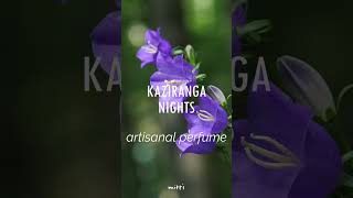 Kaziranga Nights | All natural perfumes by Mitti Lifestyle