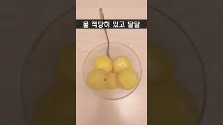 신기하게 생긴 과일, 인삼과 / Pepino Melon