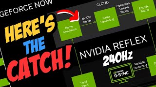 The REAL Reason why GeForce Now ULTIMATE uses 240Hz