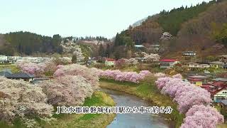 【ふくしま桜紀行】210401今出川と北須川の桜＿紹介動画