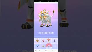 《小草日常》【Pokémon GO 精靈寶可夢】『索爾迦雷歐』❤「宇宙知己第三階段特殊調查」─ 終於可以進化日神拉~成功捕捉超帥霸氣的太陽之獸！🥰🎉｜大師聯盟NO.6｜第七代超能與鋼系傳說寶可夢｜